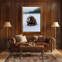 Pine Cone In Snow Poster