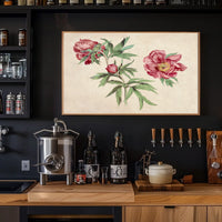 Botanical Elegance Red-Peony Flowers Vintage Artistic Poster