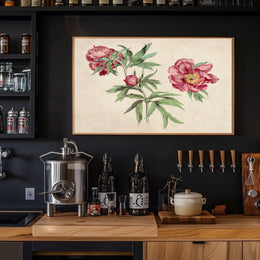 Botanical Elegance Red-Peony Flowers Vintage Artistic Poster