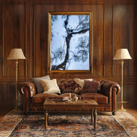 Winter Stream Aerial View Poster