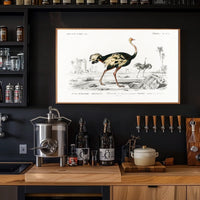 Ostrich Exploration in Ancient Continent Animal Poster