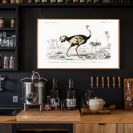 Ostrich Exploration in Ancient Continent Animal Poster