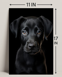 Portrait Of A Black Labrador Puppy Poster PosterGoat
