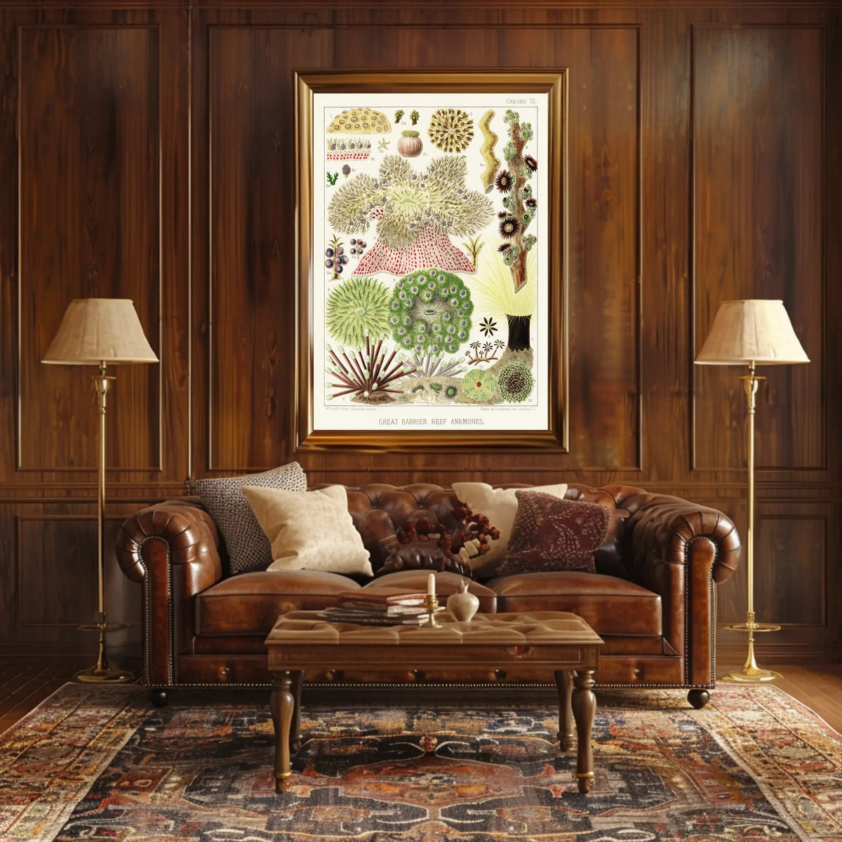 Great Barrier Reef Anemones Poster
