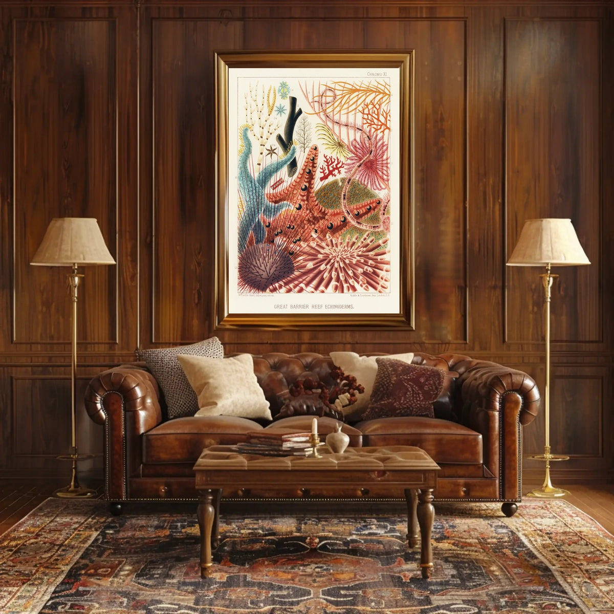 Great Barrier Reef Echinoderms Poster