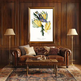 Exotic Bird on Banana Plant Poster