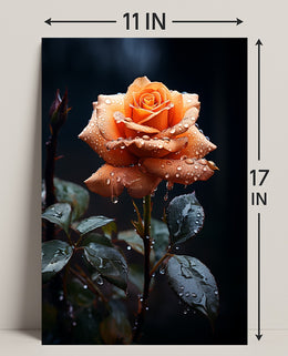 Dew-Kissed Rose Poster PosterGoat