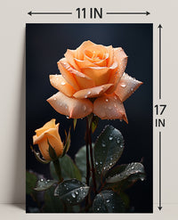 Dew-Kissed Rose Poster PosterGoat