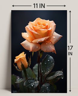Dew-Kissed Rose Poster PosterGoat
