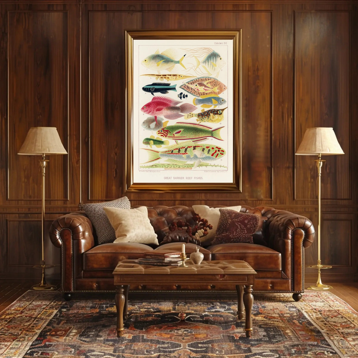 Great Barrier Reef Fishes Poster