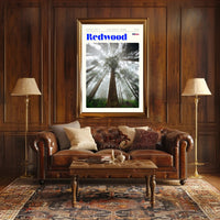 Redwood National Park Scenic Poster Wall Art Print