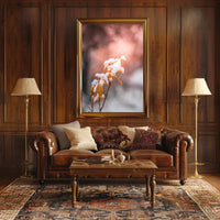 Snow-Kissed Autumn Leaves Poster