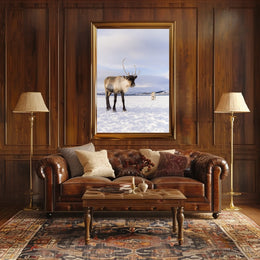 Winter Wilderness Majestic Reindeer Poster