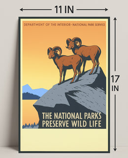 Preserve Wildlife in National Parks Poster PosterGoat