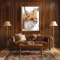 Red Fox in Winter Wonderland Animal Poster