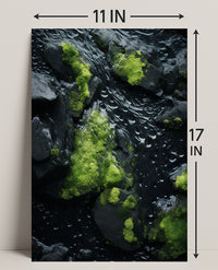 NatureS Textures Poster
