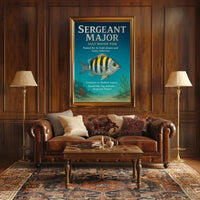 Sergeant Major Fish Bold Stripes and Big Attitude Poster