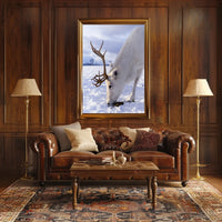 Majestic Reindeer In Snow Poster