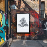 Solitary Winter Tree Poster