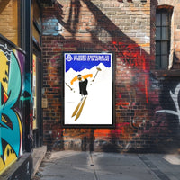 Dynamic Skier in Pyrenees Auvergne Winter Sports Poster PosterGoat