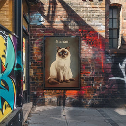 Birman Cat Portrait In Realistic Photography Style Poster