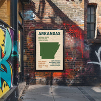 Arkansas The Natural State Poster