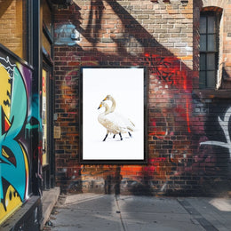 Serene Winter Swans Minimalist Art Poster