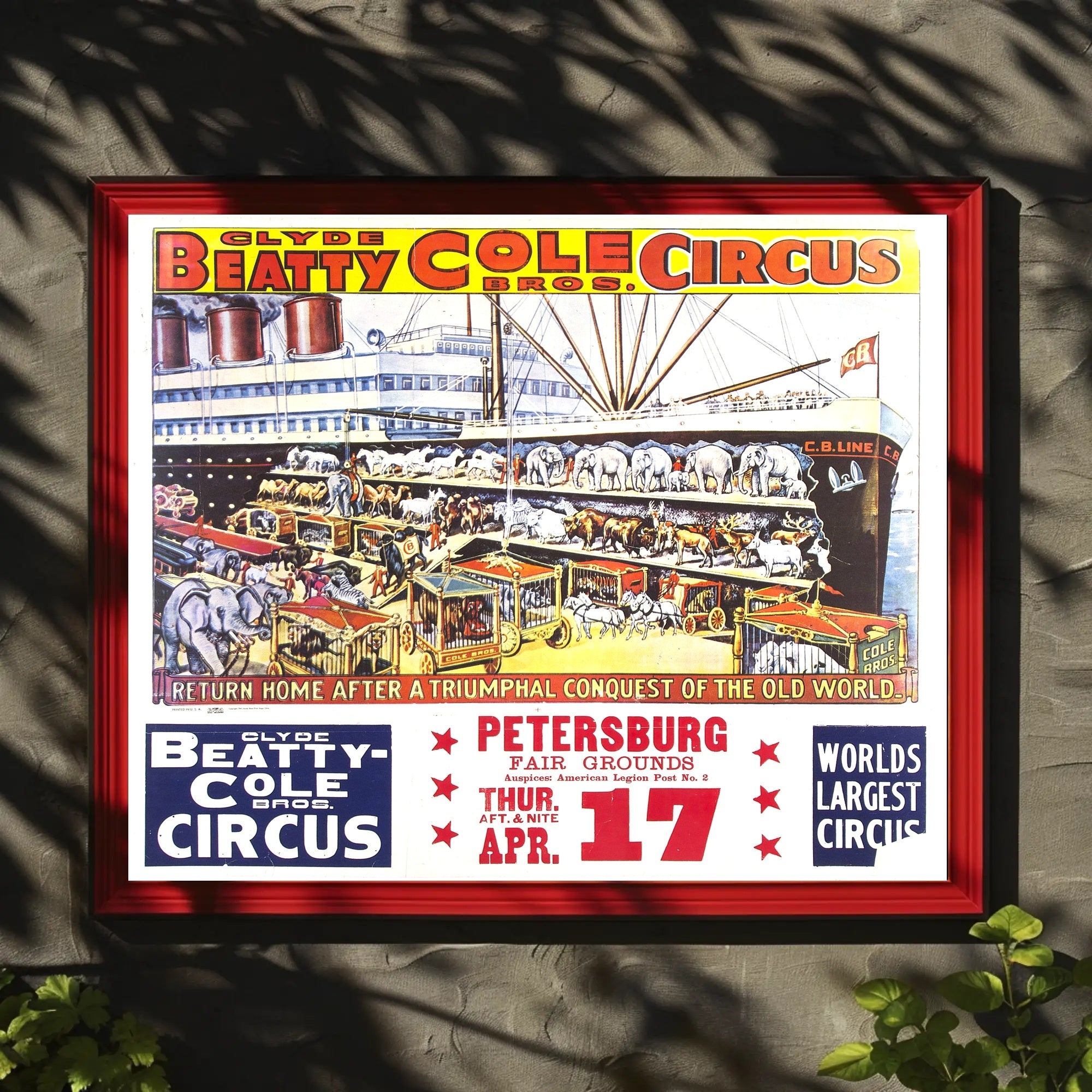 Clyde Beatty-Cole Bros. Circus Poster