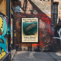 Black White Beauty Zebra Moray Poster PosterGoat