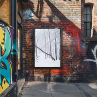 Winter Wonderland Poster