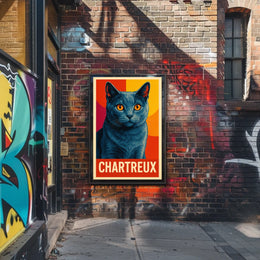 Chartreux Cat Poster