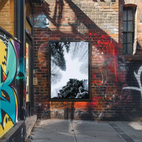 Winter Canopy Poster