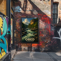 Obed River Tennessee Poster