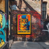 American Curl Poster