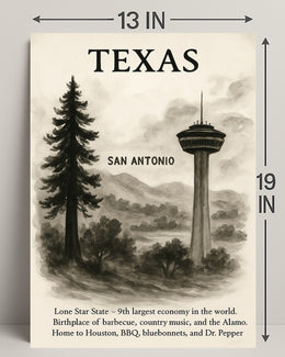 Texas The Lone Star State Poster PosterGoat