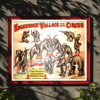 Hagenbeck-Wallace Wild Animal Circus Poster