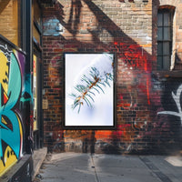 Winters Touch on Pine Poster
