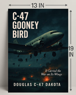 C-47 Gooney Bird Poster PosterGoat