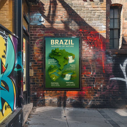 Brazil's Natural Wonders Illustrated Infographic Poster