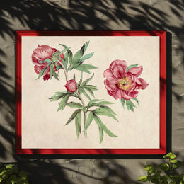 Botanical Elegance Red-Peony Flowers Vintage Artistic Poster