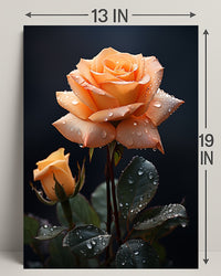 Dew-Kissed Rose Poster PosterGoat