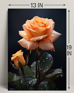 Dew-Kissed Rose Poster PosterGoat