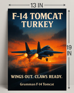 F-14 Tomcat Soaring High Poster PosterGoat
