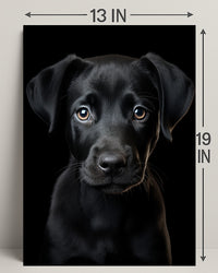 Portrait Of A Black Labrador Puppy Poster PosterGoat