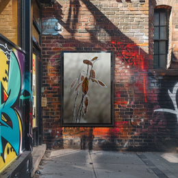 Frost-Covered Autumn Leaves Nature Poster