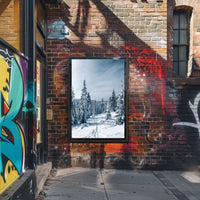 Serene Winter Forest Scene: National Park Poster