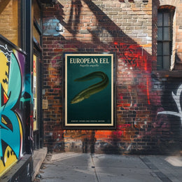 European Eel Anguilla Anguilla Poster