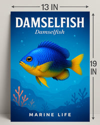 Damselfish Marine Life Poster PosterGoat