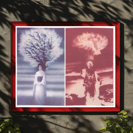 Contrasting Visions Poster