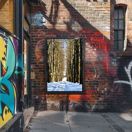 Winter Pathway Poster